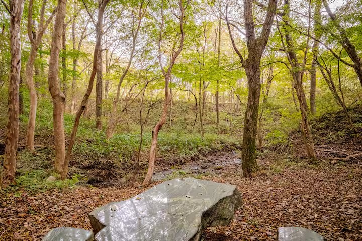 那須の貸別荘 Nasu Country Cottageの裏庭。手前は大理石のテーブルセット